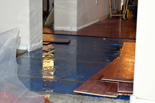 Professional Burst Pipe Cleanup technician working in Tarpley, TX